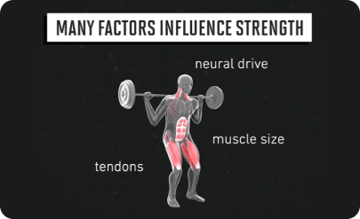 Essential Exercises